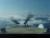 awesome-o's Photo