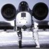 30MM HOG's Photo