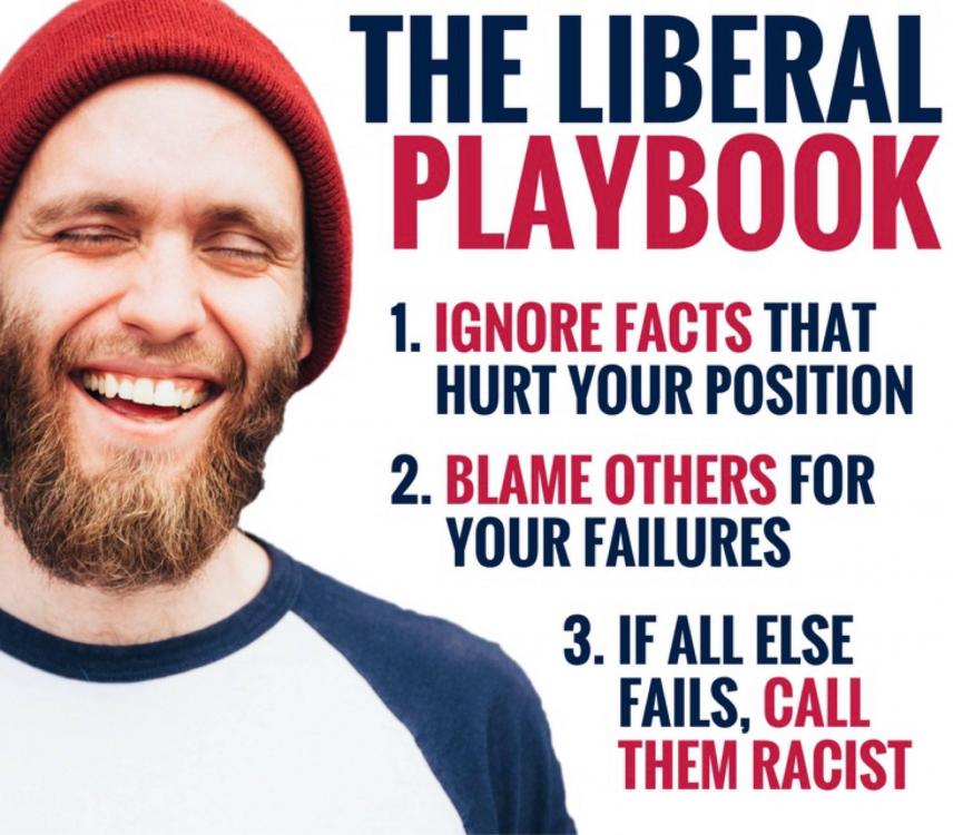liberal.jpeg