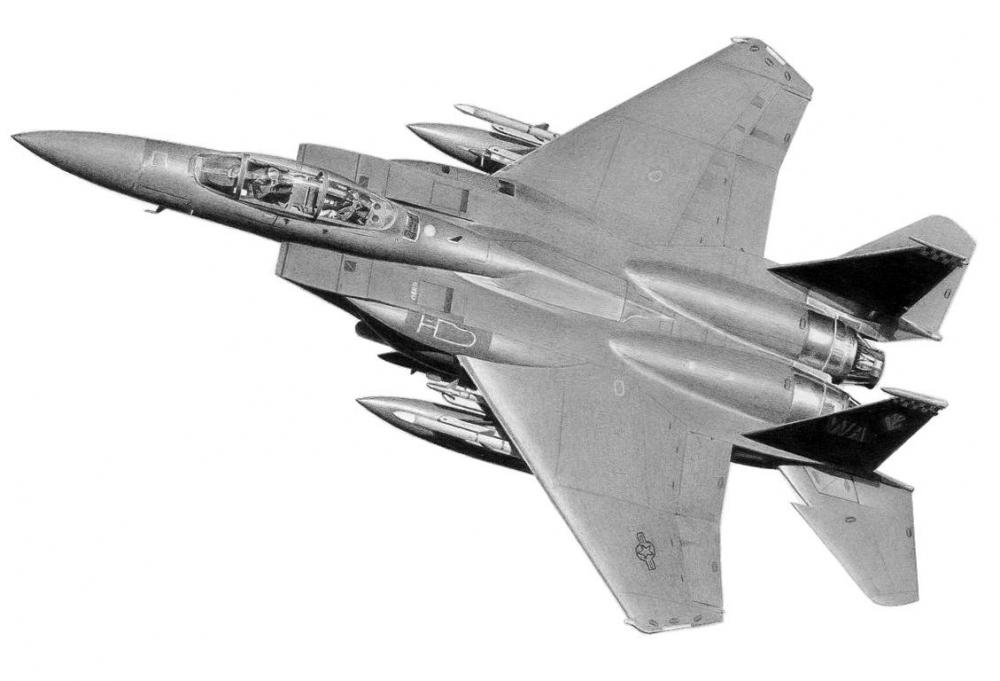 f_15e_commission_modified_by_raptorguy 2.jpg
