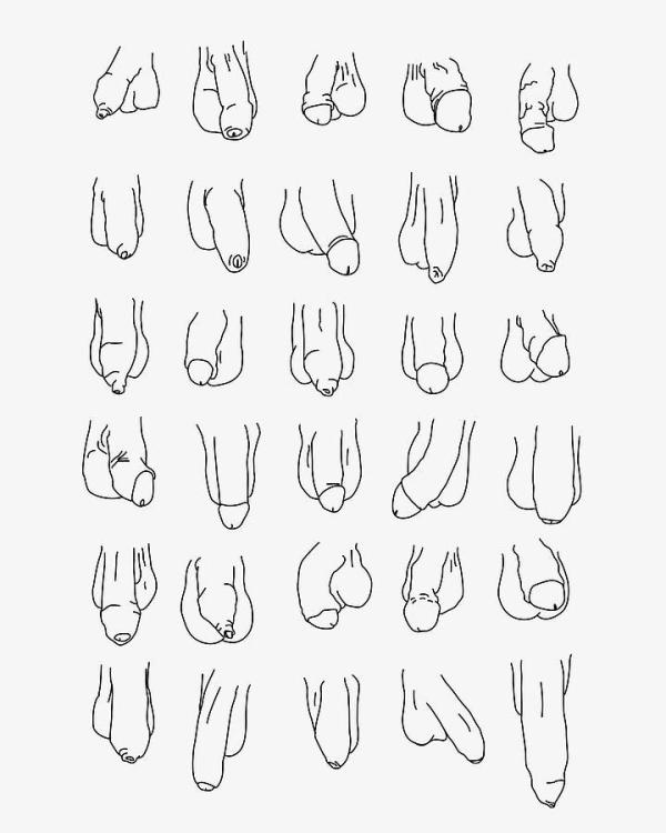 7-body-positive-dick-penis-art-willy-line-drawing-prem-vishal.thumb.jpg.49979b96185865420f9203df96521c9b.jpg