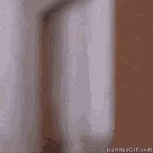 asian-guy.gif.7fb86d929e6ce099194c6800d409d9a1.gif